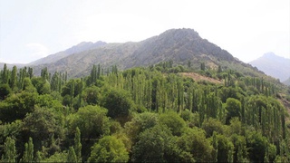 Наманган вилоятидаги «Нанай» қишлоғи экотуризм марказига айлантирилади