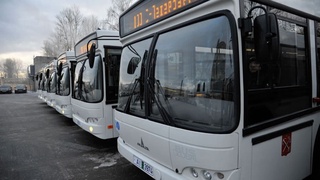 Петербургда автобус ҳайдовчилари етишмаяпти