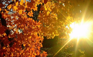 Прогноз погоды на 20 октября