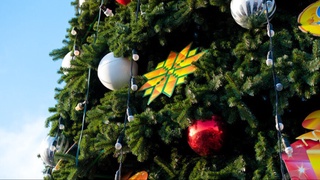 Belgiyada yangi yil archasining ag'anab tushishi oqibatida bir kishi hayotdan ko'z yumdi