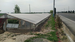 Ҳар бир қарич ердан унумли фойдаланилмоқда