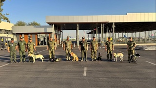 Ўзбекистон Кореяга яна 6 та хизмат итини экспорт қилди