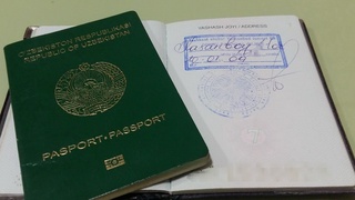 Amendments to the Government Resolution regarding the «propiska» (registration) procedure