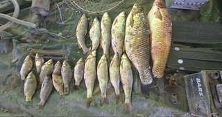 В Сырдарье задержан браконьер с запрещенным оборудованием и редкими видами рыбы