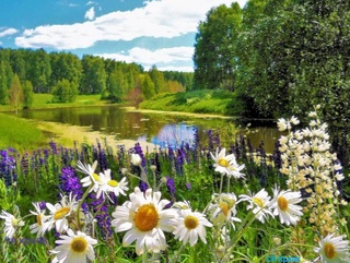 Weather forecast for July 27