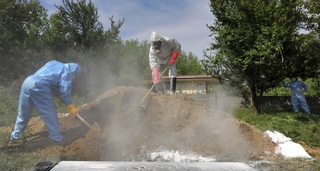 ЖССТ Европада COVID-19 билан боғлиқ вазият ёмонлашиши сабабини айтди