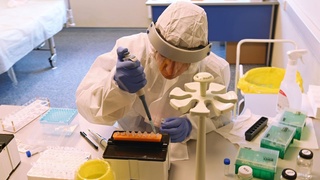 Хитойда аниқланган SFTS вирусининг хавфлилик даражасини шифокор баҳолади