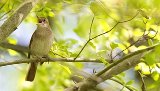 Weather forecast for August 21st