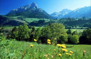 В выходные дни температура воздуха в Узбекистане начнет постепенно повышаться