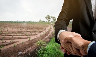 Сурхондарё: ноқонуний ер олди-сотдиси билан боғлиқ жиноят фош этилди