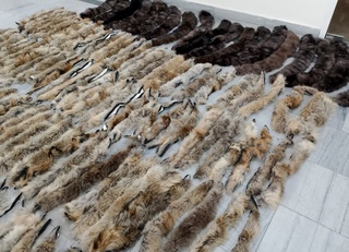 Божхона назоратидан яширилган мўйналар фош бўлди