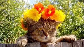 Неделя будет очень жаркой