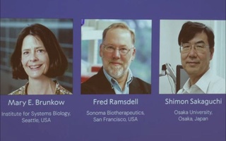 Fiziologiya yoki tibbiyot bo'yicha 2025-yilgi Nobel mukofoti sovrindorlari e'lon qilindi