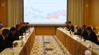 Ministry of Energy and VEB.RF discuss business partnership development issues