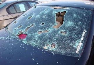 Палермода тухумдай-тухумдай дўл ёғди