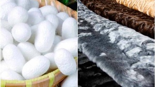 Шелководство и каракулеводство: новый этап развития