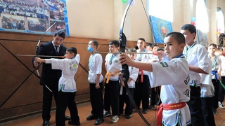 Темуридский боевой стиль набирает популярность