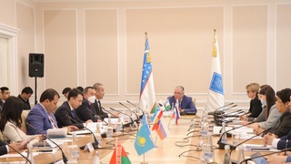 Страны ЕАЭС и Узбекистан развивают кооперацию в легпроме «от хлопкового поля до потребительской полки»