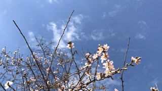 Kelgusi hafta boshida bizni qanday ob-havo kutmoqda?