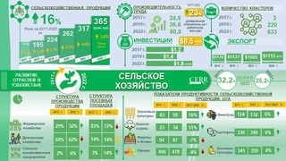 Развитие сельского хозяйства в Узбекистане в 2017-2022 годах
