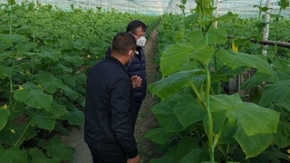 Бухоро туманида 37,5 млрд сўмлик янги лойиҳа амалга оширилмоқда