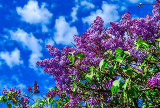 В праздничные дни температура воздуха повысится до +30 градусов, возможны дожди, грозы