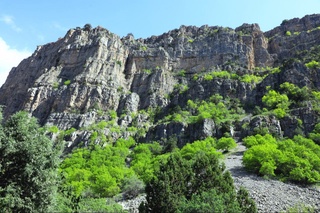 10 май кунги об-ҳаво маълумотлари эълон қилинди