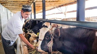Животноводство: переходный этап из нуждающейся в поддержке отрасли в драйверную