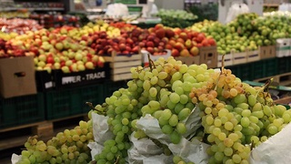 Support during the quarantine period