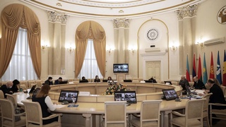 Страны СНГ намерены создать комиссию по правам человека