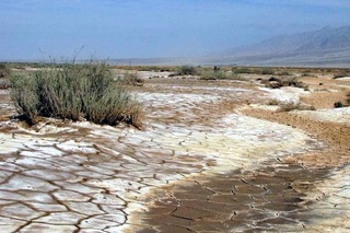 В Узбекистане пройдет второе совещание Международной сети по проблемам засоленных почв
