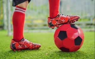 ФК «Пахтакор» создает сеть школ «Пахтакор юниор» для выявления новых молодых талантов