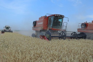 Сурхондарёда 6 та туман ғаллакорлари мамлакатимизда биринчи бўлиб белгиланган режани бажарди