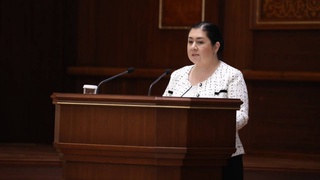 В Сенате обсудили деятельность Омбудсмана в 2022 году