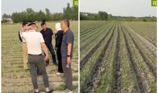 Режани бажармаган фермерлар ерлари хитойликларга бериляптими?