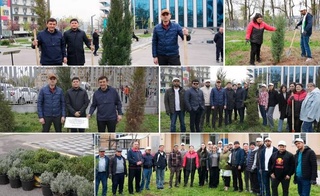 В Ташкенте прошла акция «Бир миллион дарахт»