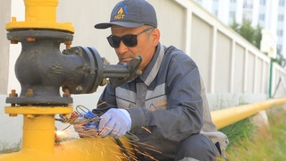 Tashrif davomidagi topshiriq