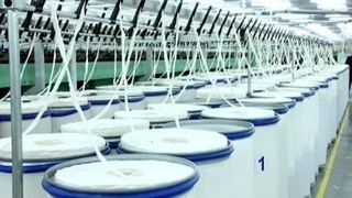 Ўзбекистон январь ойида қанча тўқимачилик маҳсулотлари экспорт қилган?