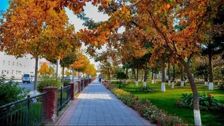 Прогноз погоды на 13 октября