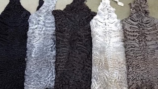 Республикада 2021 йилнинг 6 ойи давомида қанча қоракўл тери олинди?