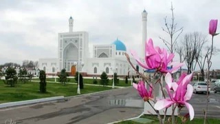 Прогноз погоды на 19 марта