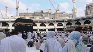 Umra reyslari har kuni 2 marta amalga oshiriladi
