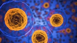 Олимони бритониёӣ аз хатарноктарин штамми COVID-19 ҳушдор доданд