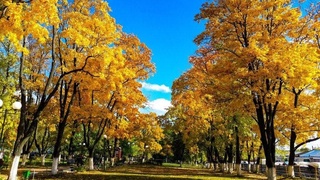 Пешгӯии обу ҳаво барои 9 ноябр