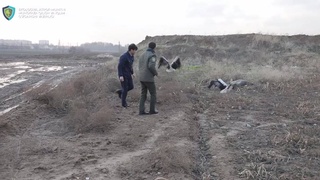 A resident of Tashkent kept red-book Turkestan white storks in his house