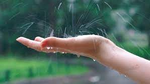 Бугун баъзи жойларда қисқа муддатли ёмғир ёғади, момақалдироқ бўлиши мумкин