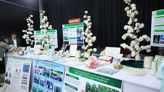 7 октября - Всемирный день хлопка