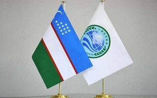 Узбекистан - ШОС: новые грани многопрофильного взаимодействия (о приоритетах председательства Узбекистана в Организации)