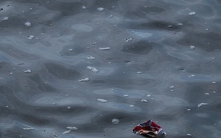 ОАВ: Сена дарёсининг ифлослангани Олимпиада иштирокчилари учун хавф туғдиради