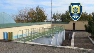 Тадбиркорнинг дизель ва бензин ёқилғисини ўзлаштирган шахслар аниқланди